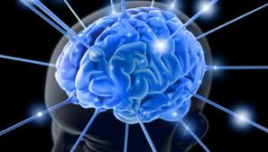 Benarkah Tes Intelligence Quotient atau IQ dapat menilai kecerdasan manusia?